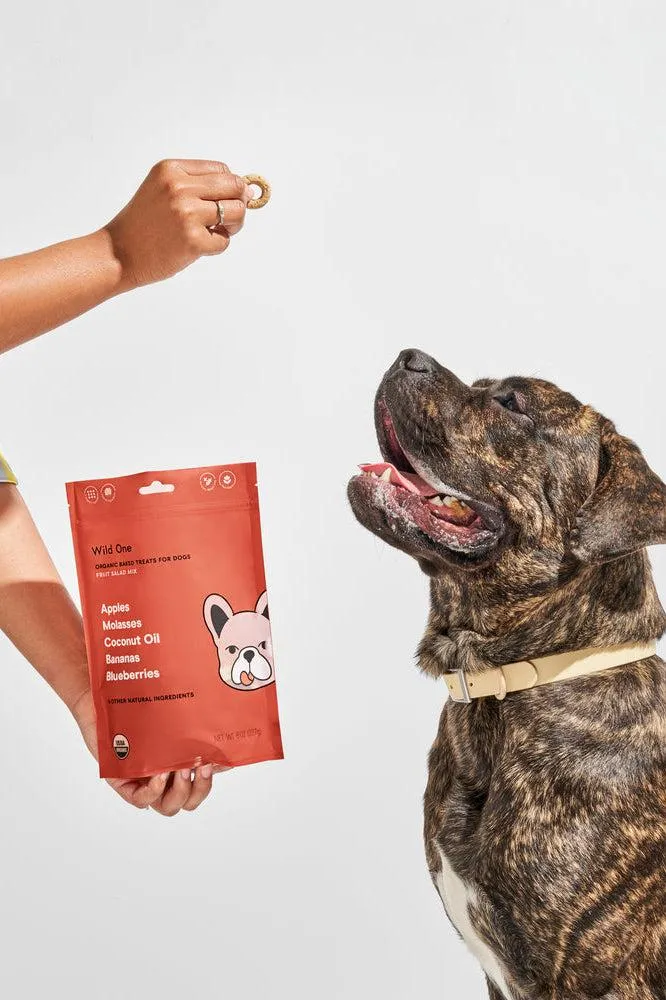 Wild One Organic Fruit Salad Dog Biscuits