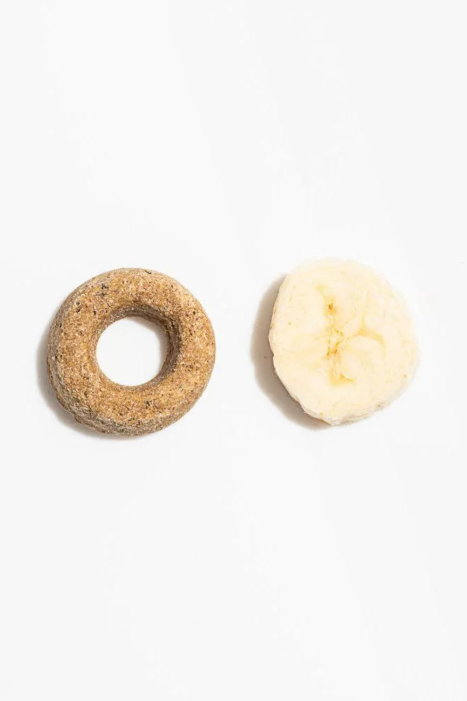 Wild One Organic Fruit Salad Dog Biscuits